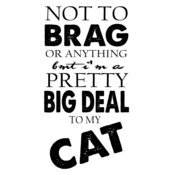 BRAG CAT